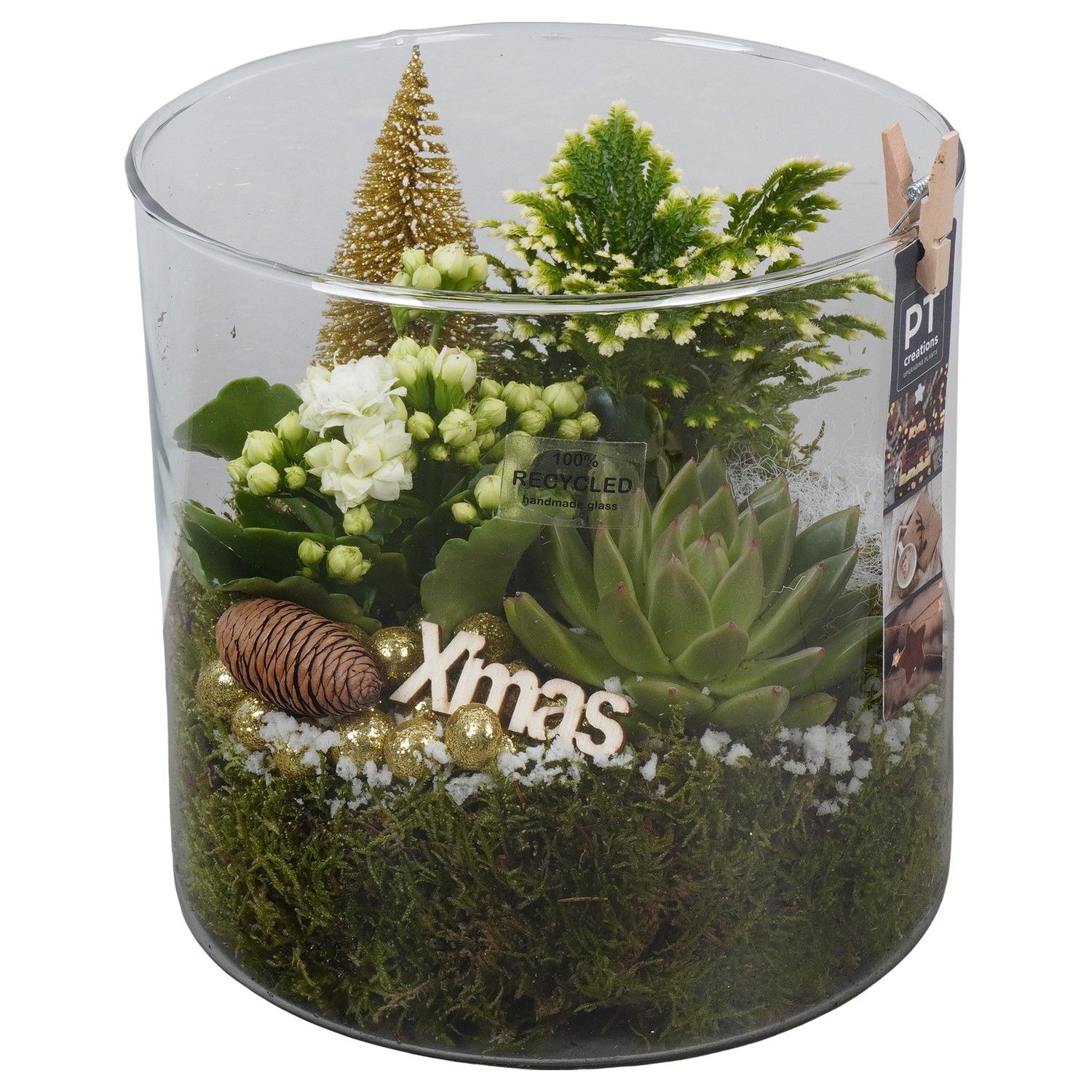 PTCHG5754 Arrangement Christmas Gold in glazen pot, D 19 cm