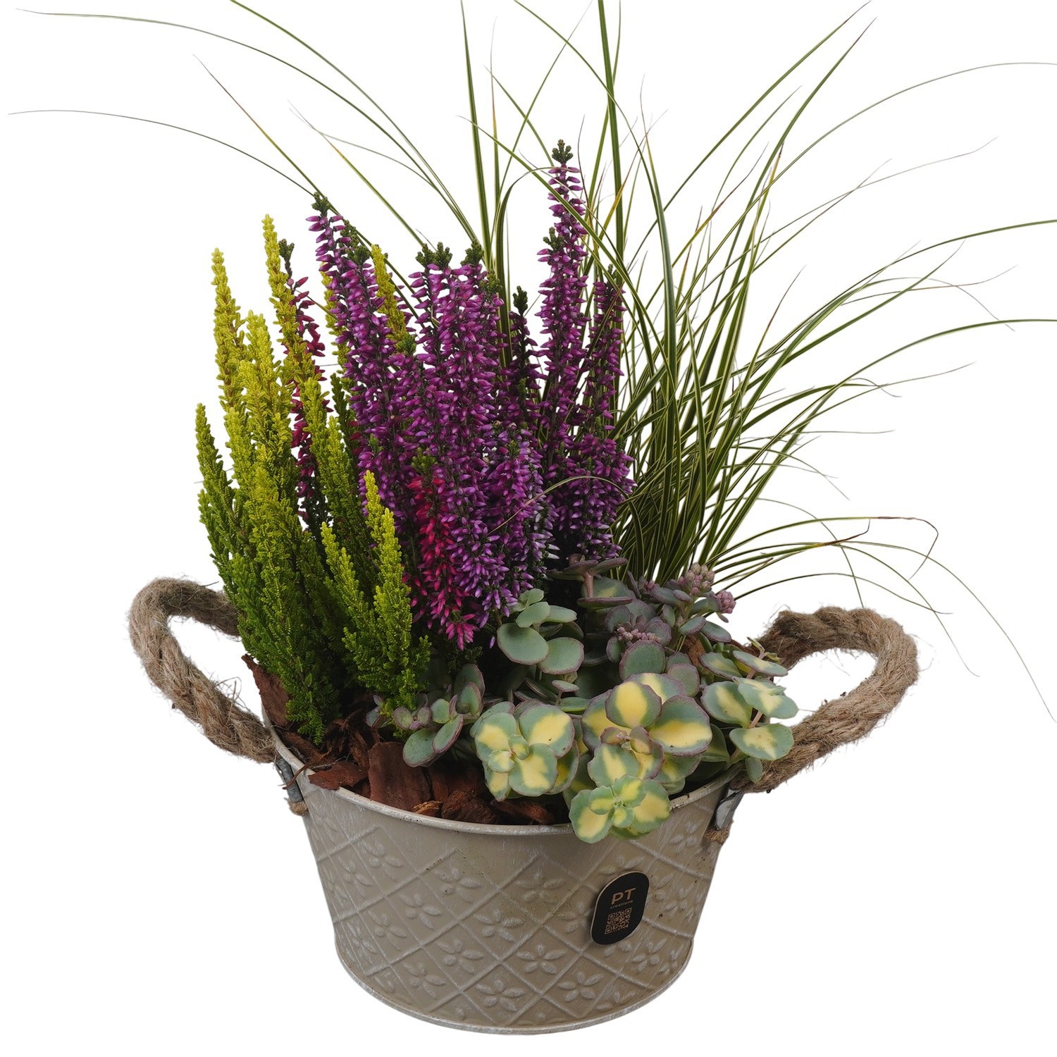 PTHO7603 Arrangement Autumn Outdoor in metalen pot, D 18