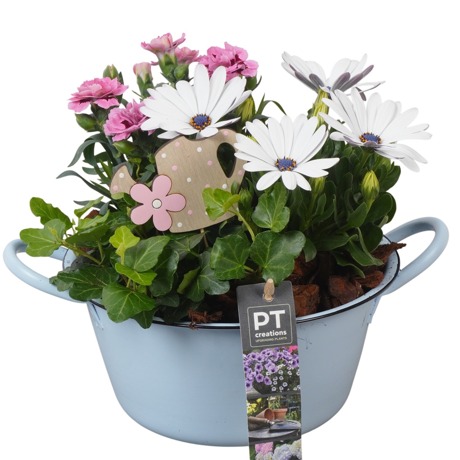 PTPP6847 Arrangement Patio in metalen schaal, D 19