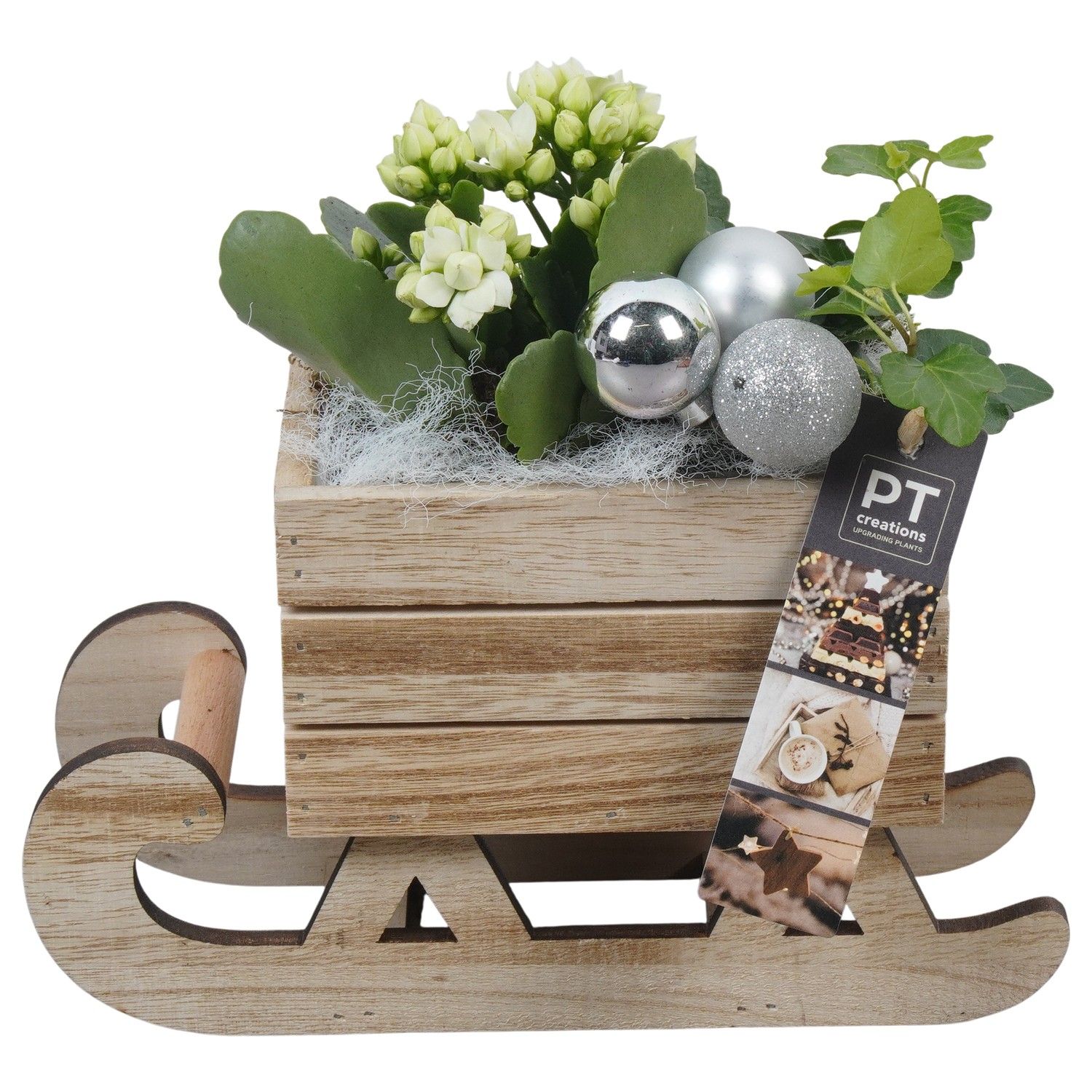 PTCHW4336 Arrangement Christmas White in houten slee, D 24 cm