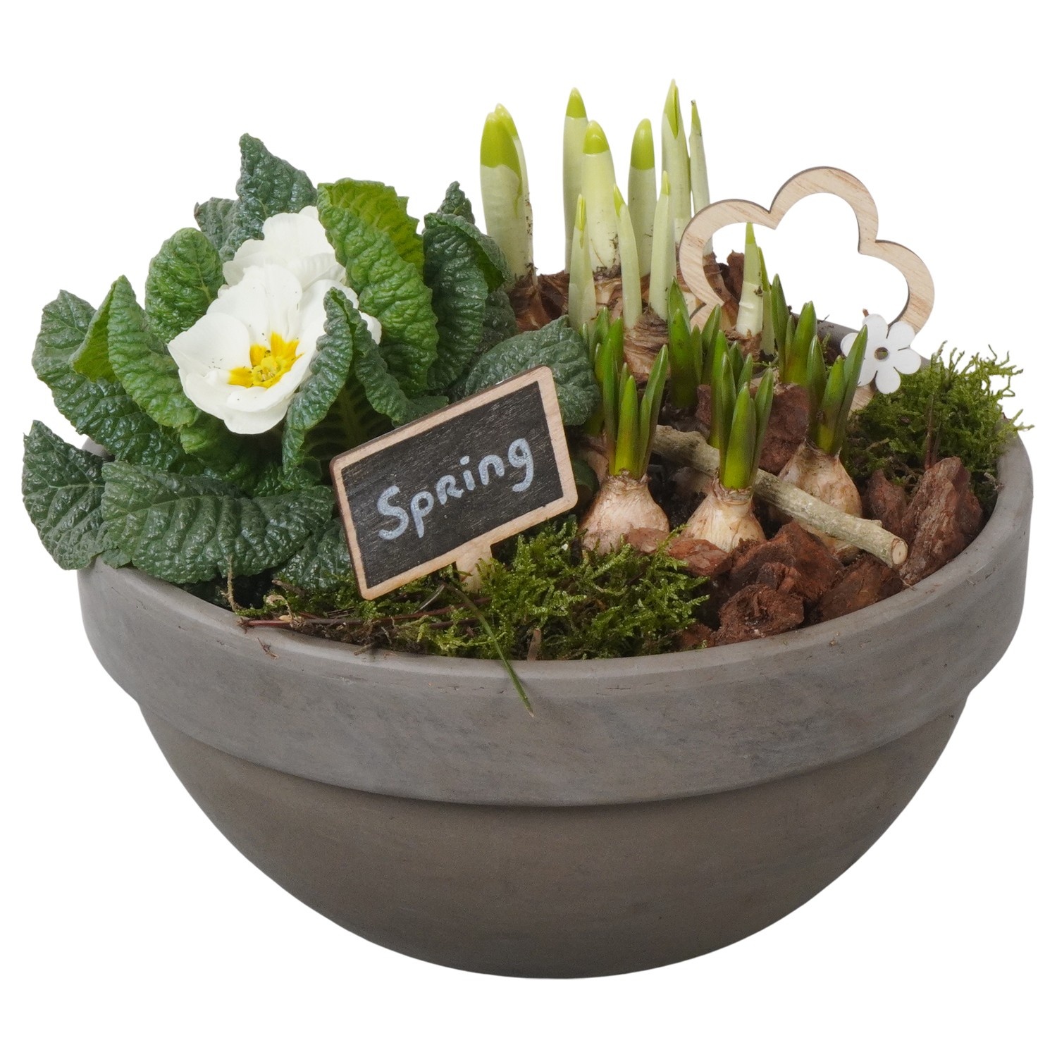 PTBM3877 Arrangement Flower Bulbs Mix in terracotta schaal, D 23