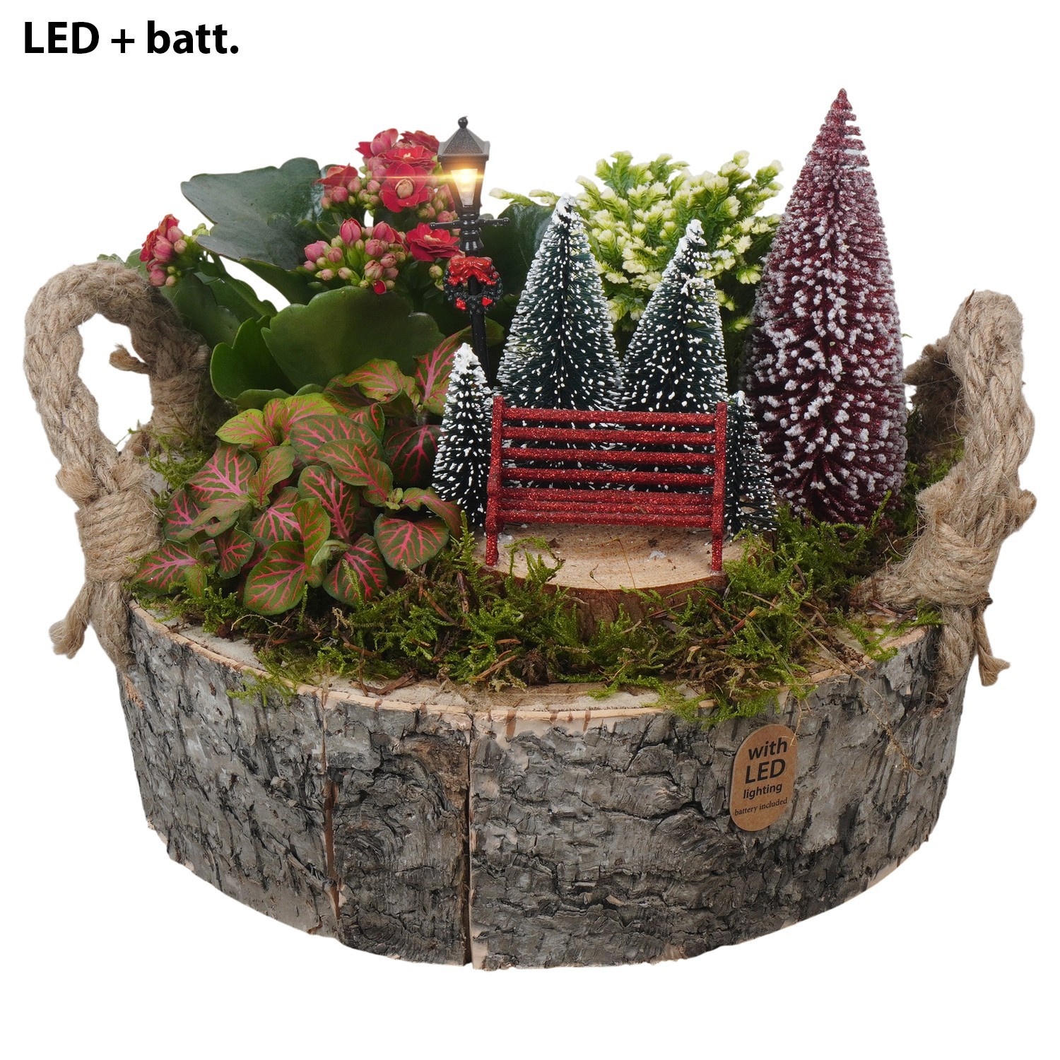 PTCHR9635 Arrangement Christmas Red in houten bak met LED, D 24