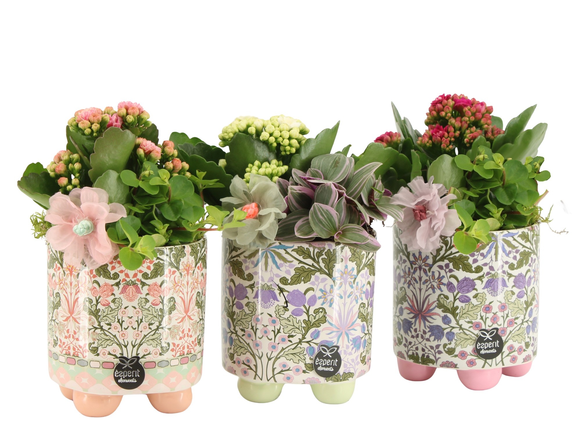 21900: Contradiction arrangement, D 10