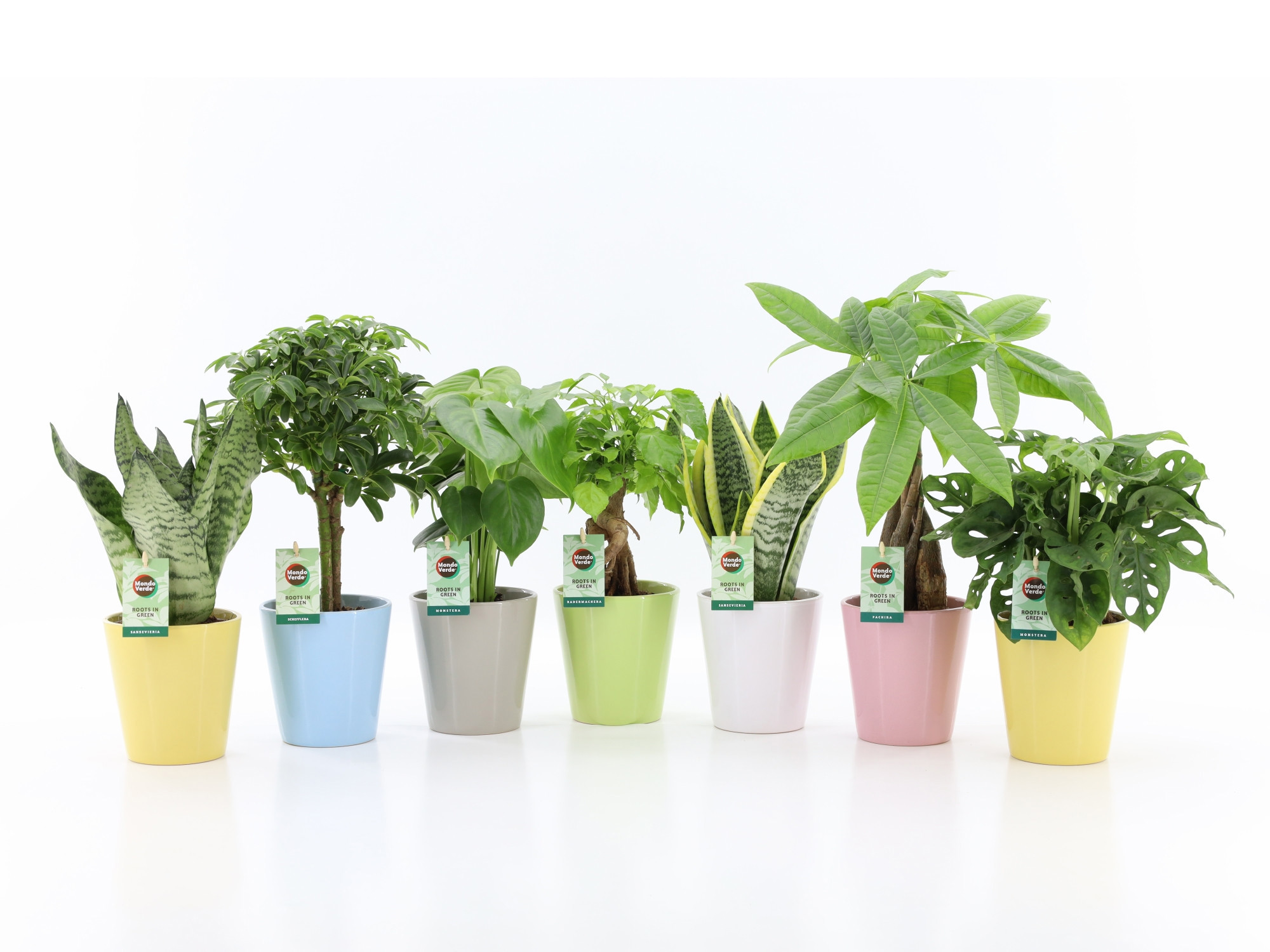 Easy to Care Mix in Pastel Keramiek, D 13