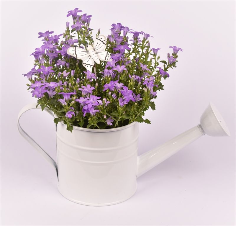 Zink gieter 13cm, D 14