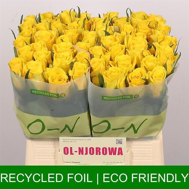 Роза од. Мунвок 40, шт.