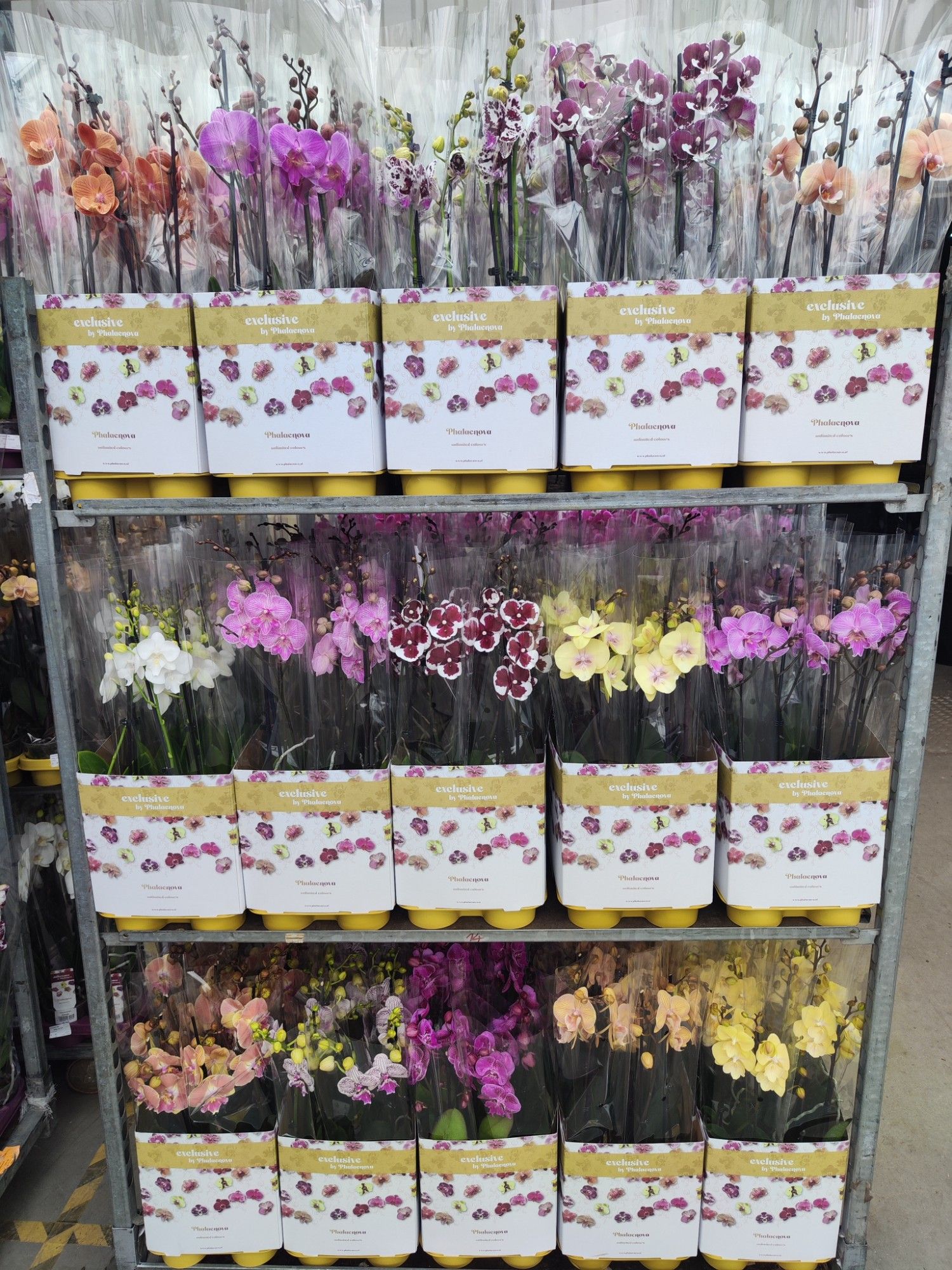 Op kleur 15 kleuren BIGLIP 60CM, D 12 cm