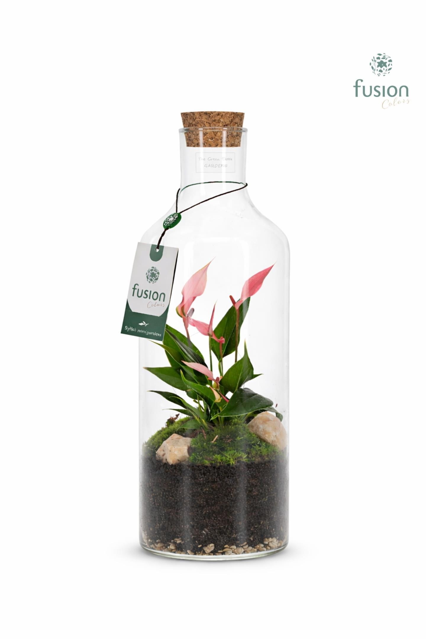 Green Bottle Fles Medium met Anthurium, D 15
