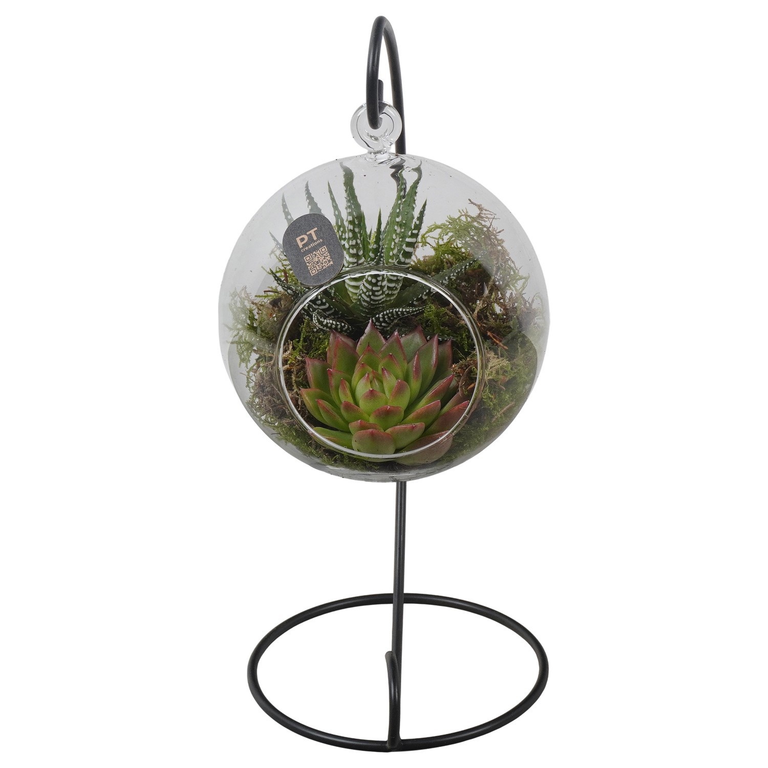 PTIG2707 Arrangement Indoor in glazen bol met standaard, D 12