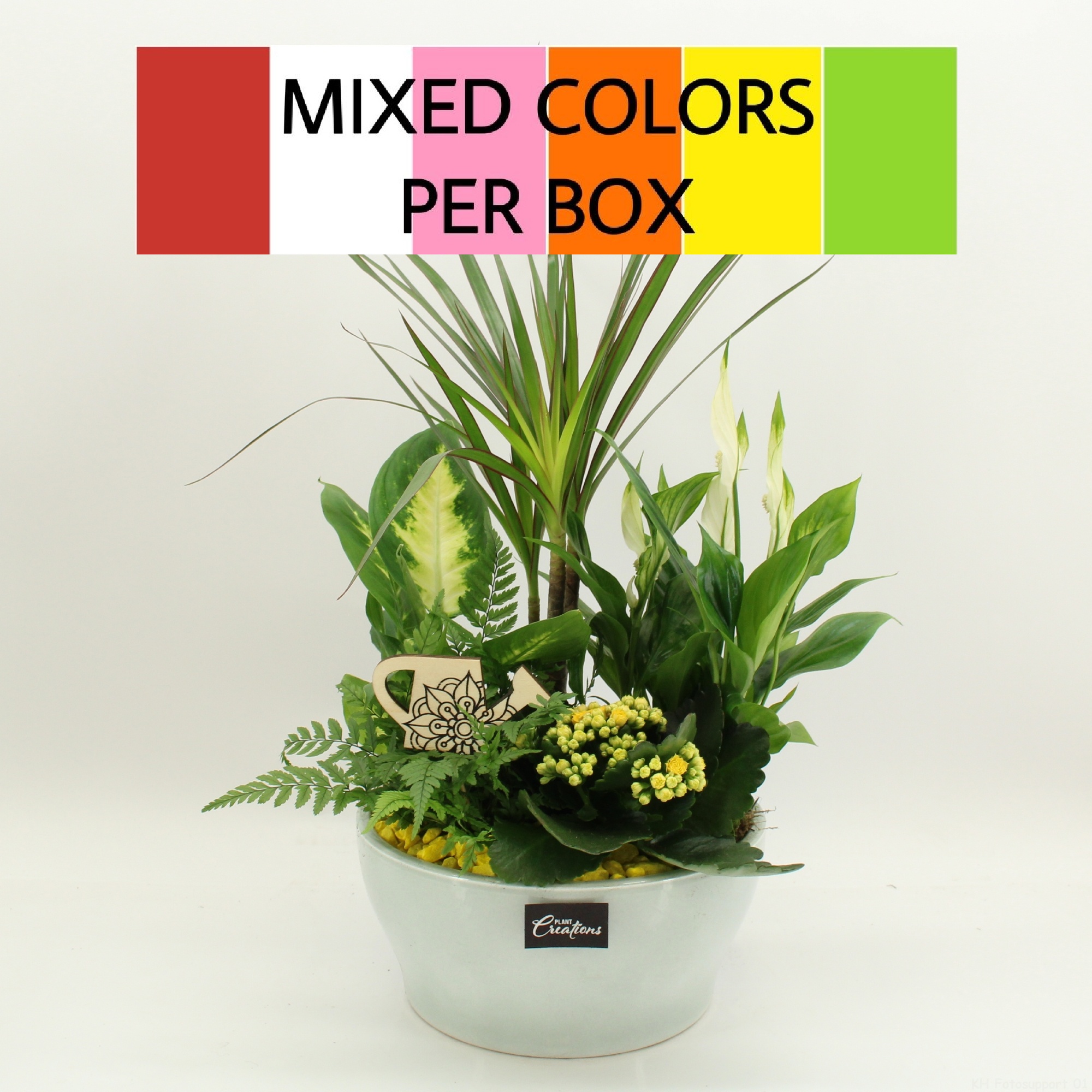 FDCR-2612M Basic Fundamentals, D 22