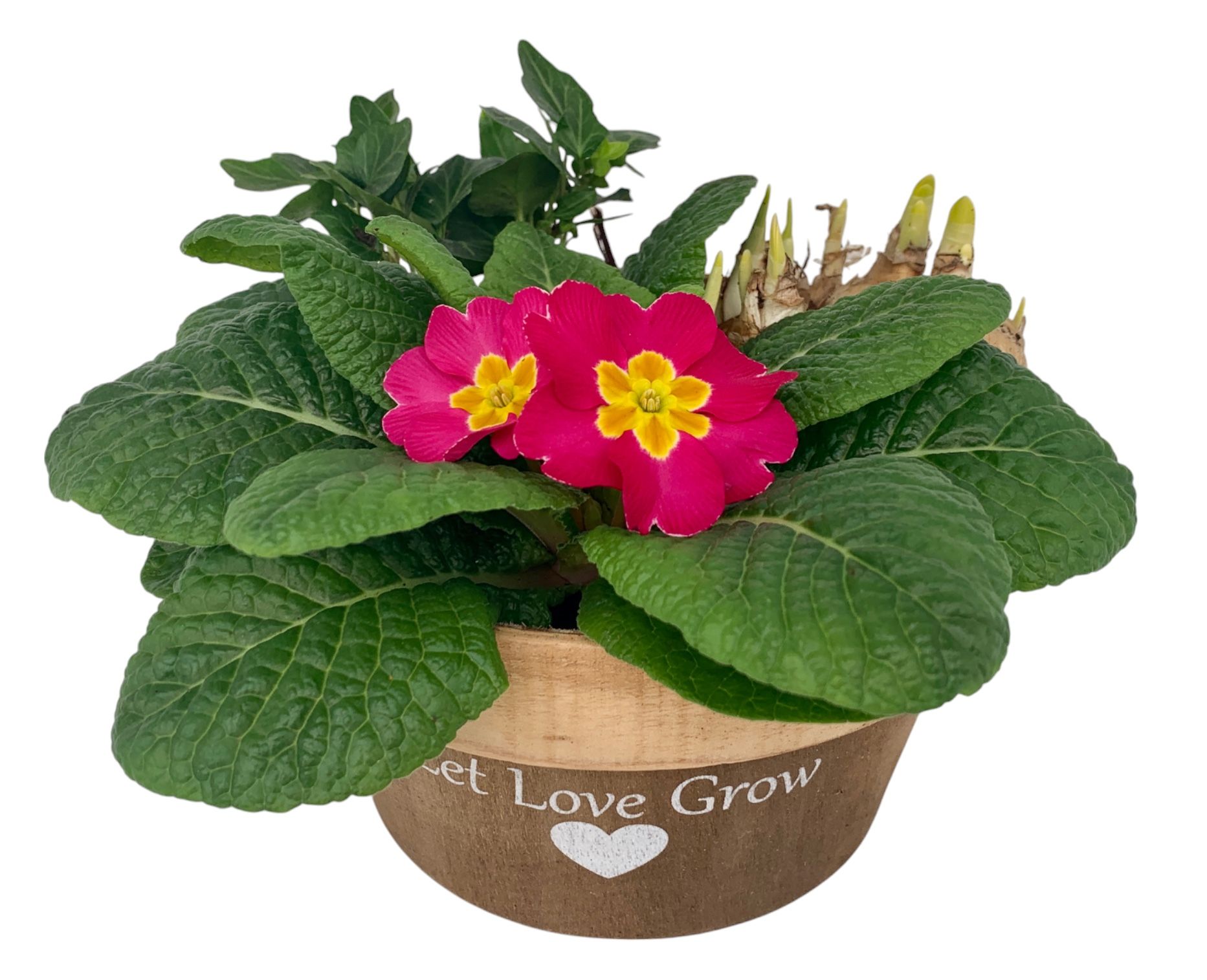 Love Rond hout 1x tet 1x hedr 1x prim 538, D 20 cm