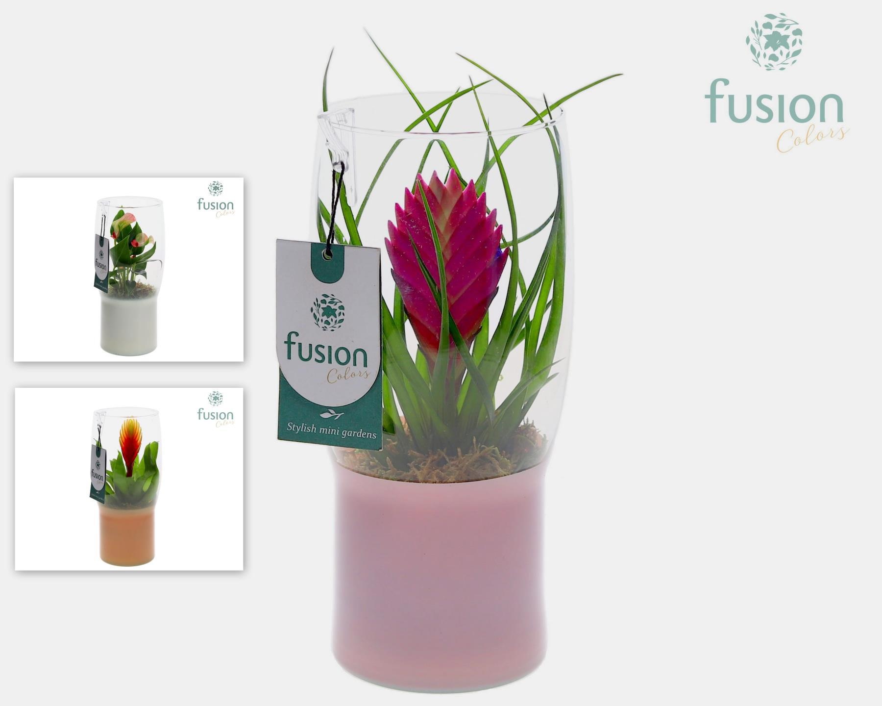 Green Bottle Tulp vaas met Mix planten, D 12