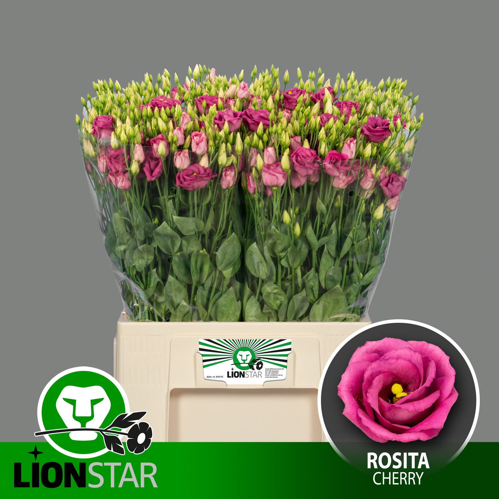 Эустома Розита Черри 65 (ярко-роз.), шт.