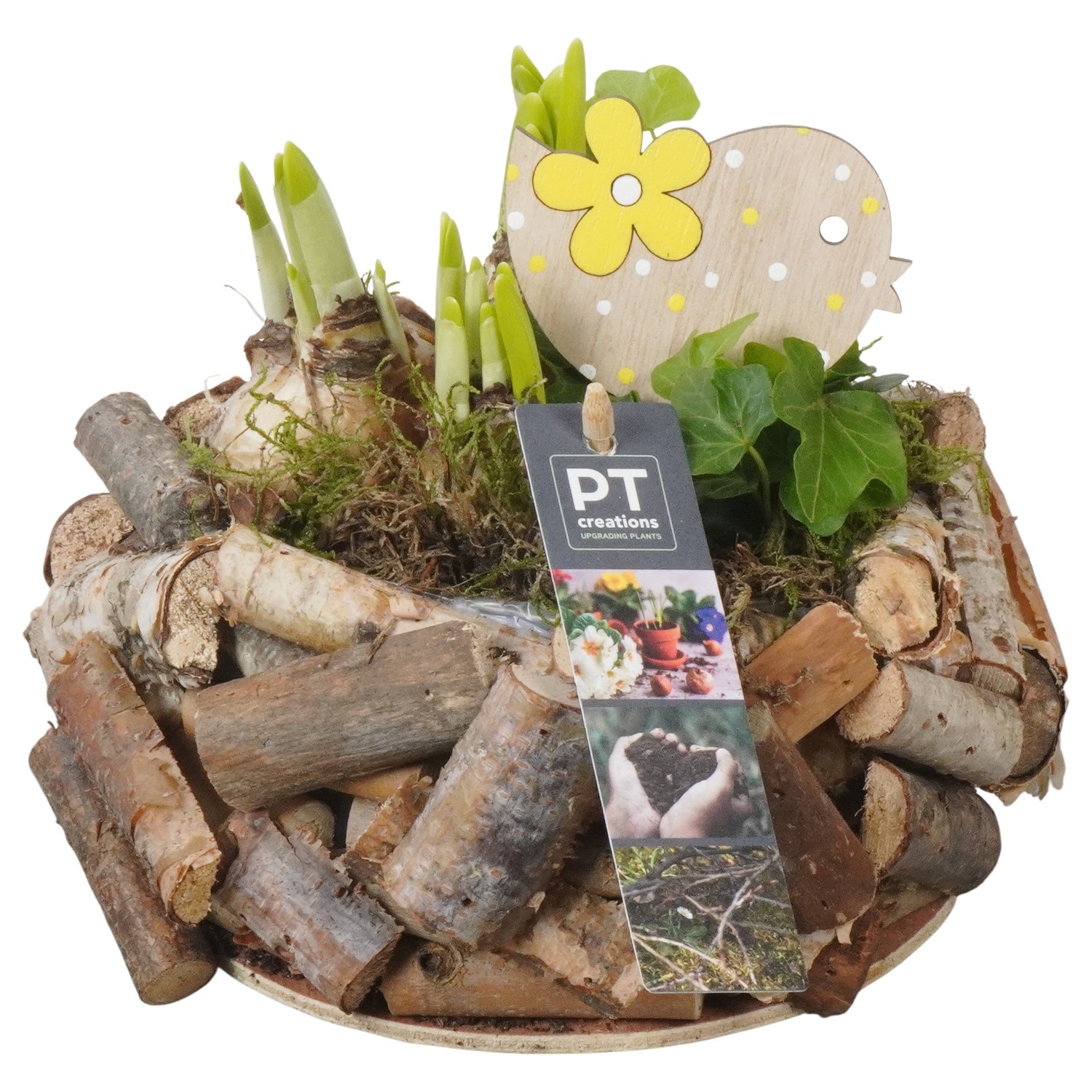 PTBM3901 Arrangement Flower Bulbs Mix in houten pot, D 20