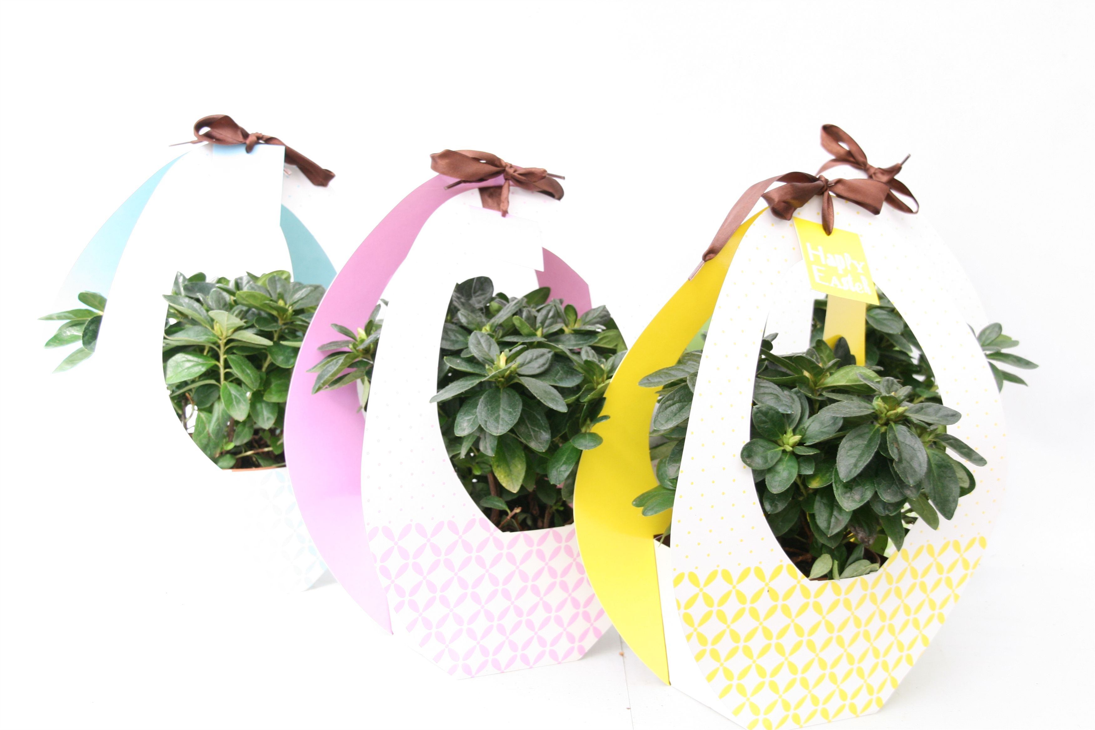 153 : Azalea p12 mix in paastas ei festival geel blauw groen paars Pasen, D 12