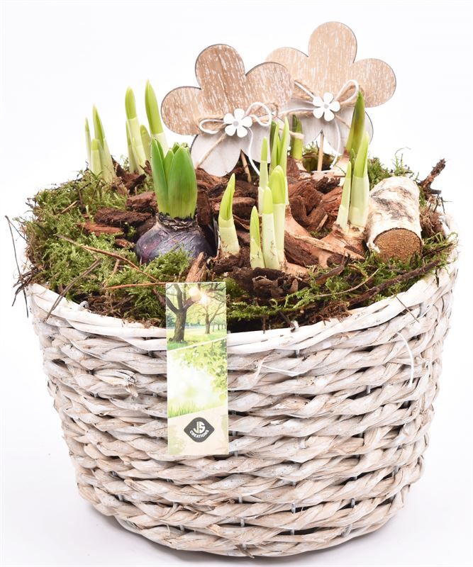 Touwmand mais 25cm, D 26