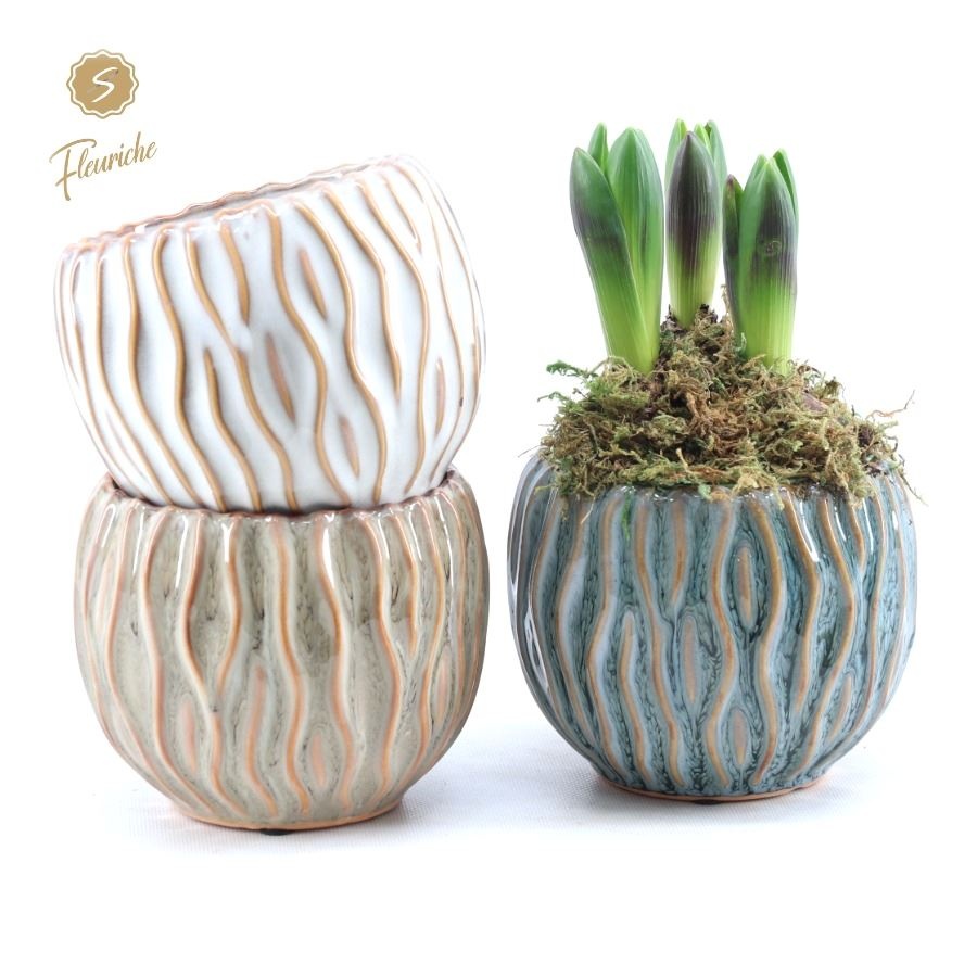 (3625) Hyacint Squiggle pot [L] 3PP Mos, D 14 cm