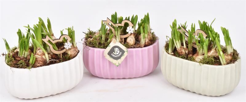 Keramiek ovaal mix kleur18,5x12cm, D 18