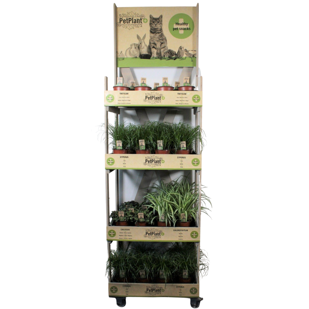 Houten rek(42x62x215) zonder planten, D 12