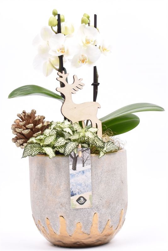 Cement sierpot met goud 14cm, D 14 cm