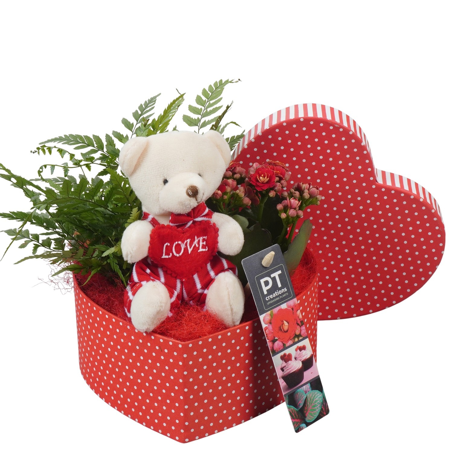 PTVMB2370 Arrangement Valentines-Mothersday in karton hart, D 16