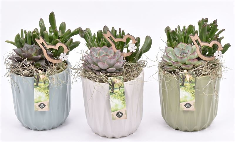 Keramiek sierpot klmix 13cm, D 13