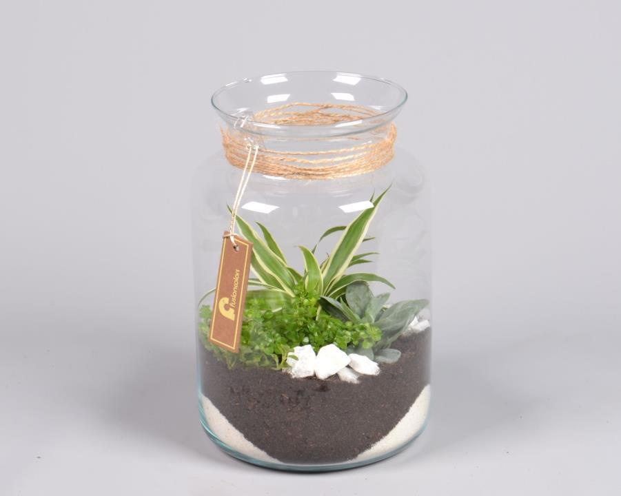 Glas met minituin arrangement, D 17