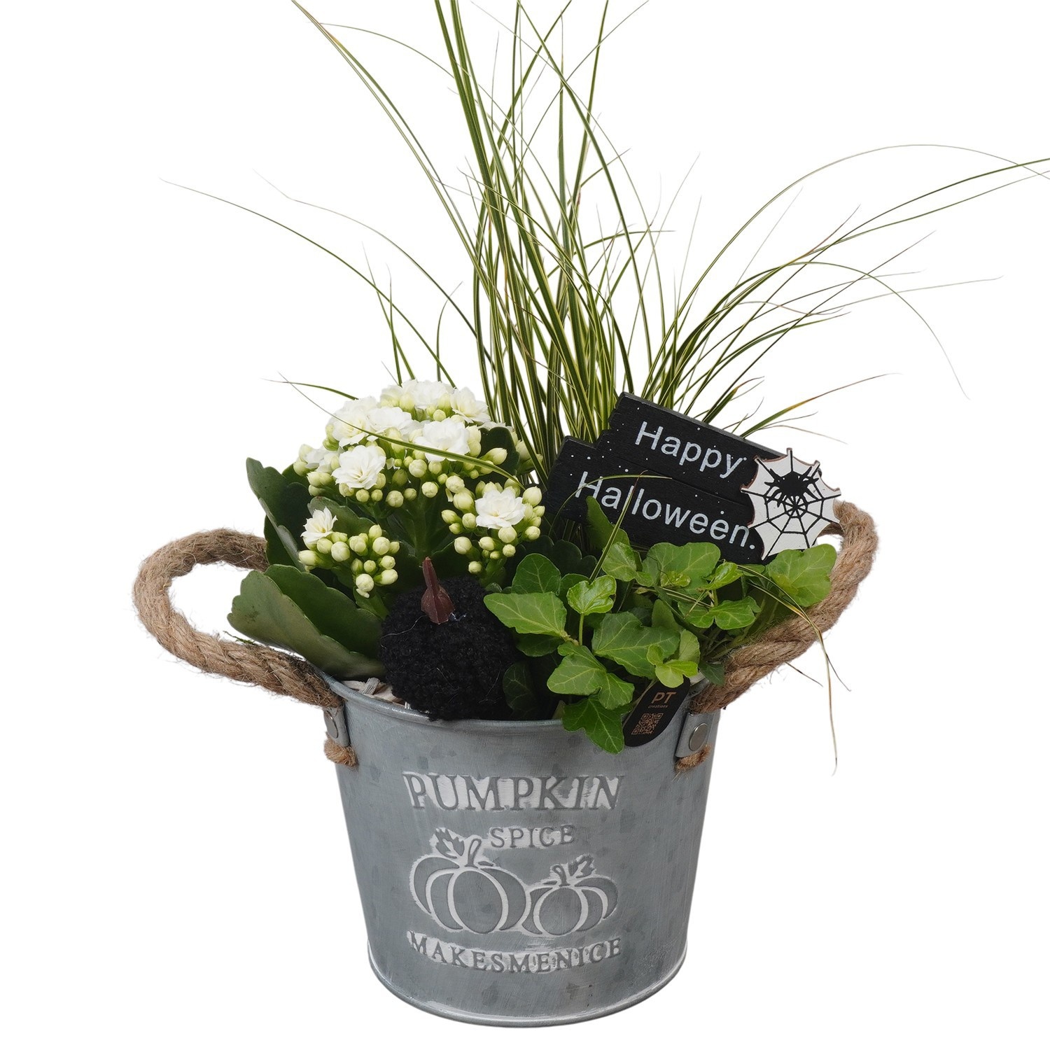 PTHL3502 Arrangement Halloween in metalen pot, D 14