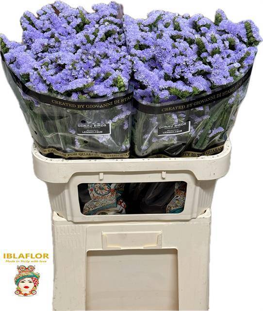 Статица Донау Бердс 75 (светло-роз.), шт.