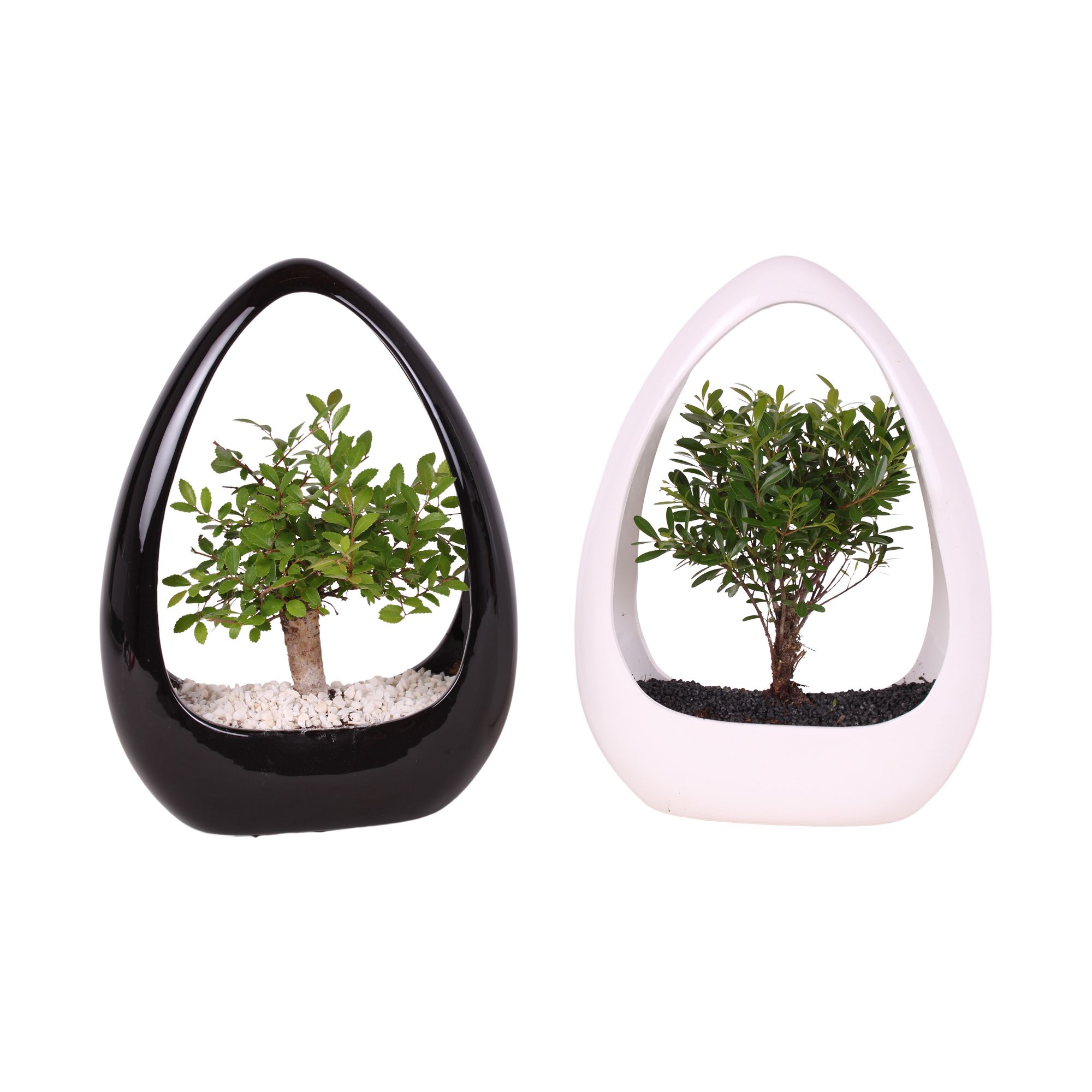 Bonsai Mixed pot ø15cm in ø23cm Ikebana Ceramic in Black/White, D 23