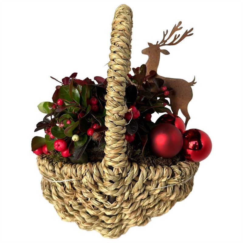 Wilg touwmand ovaal 20x15cm, D 21 cm