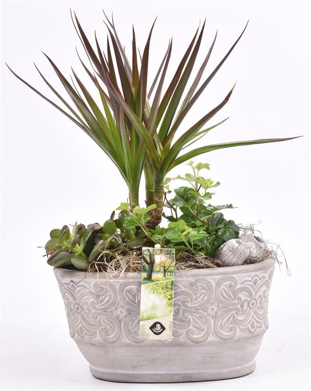 Cement ovaal met barok look 21.5x12, D 22