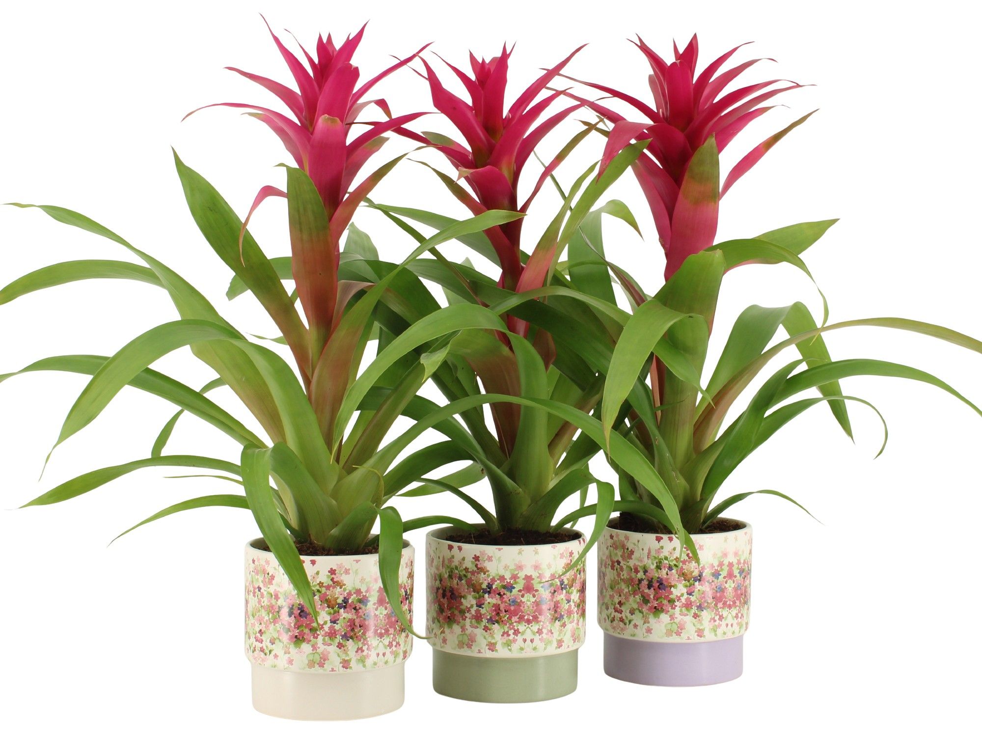 7501447: Solutionss Consideration, D 12