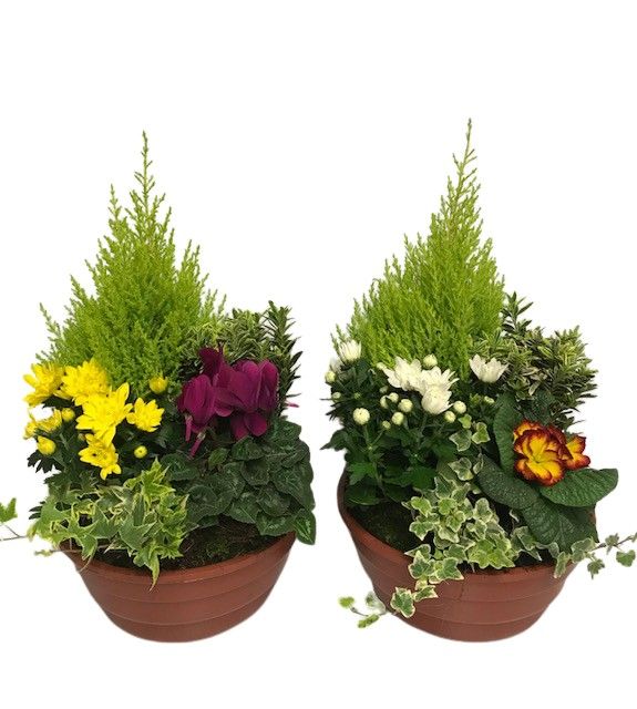 Buitenschaal arrangement A3 Middel, D 27