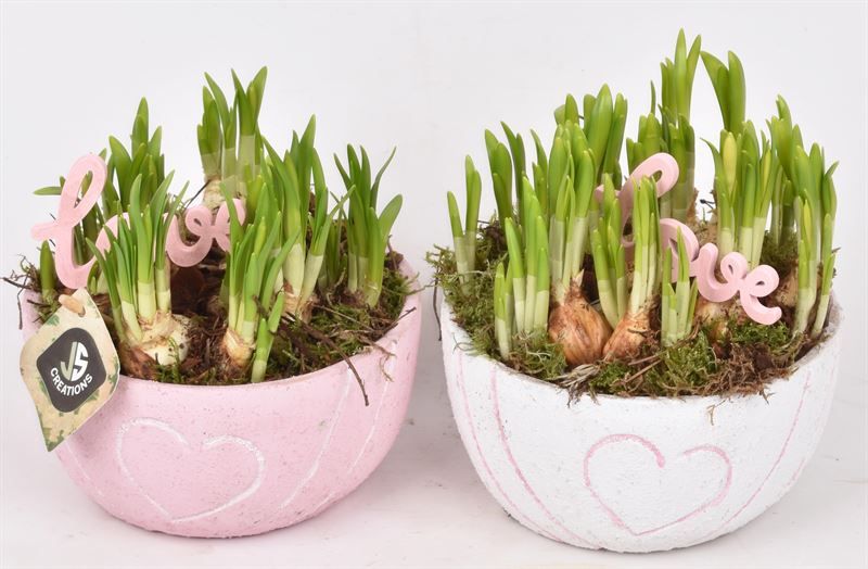 Cement schaal hart decor mix 16cm, D 16