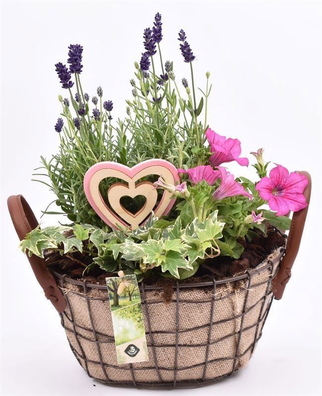 Gaasmand ovaal met jute 25x20cm, D 25