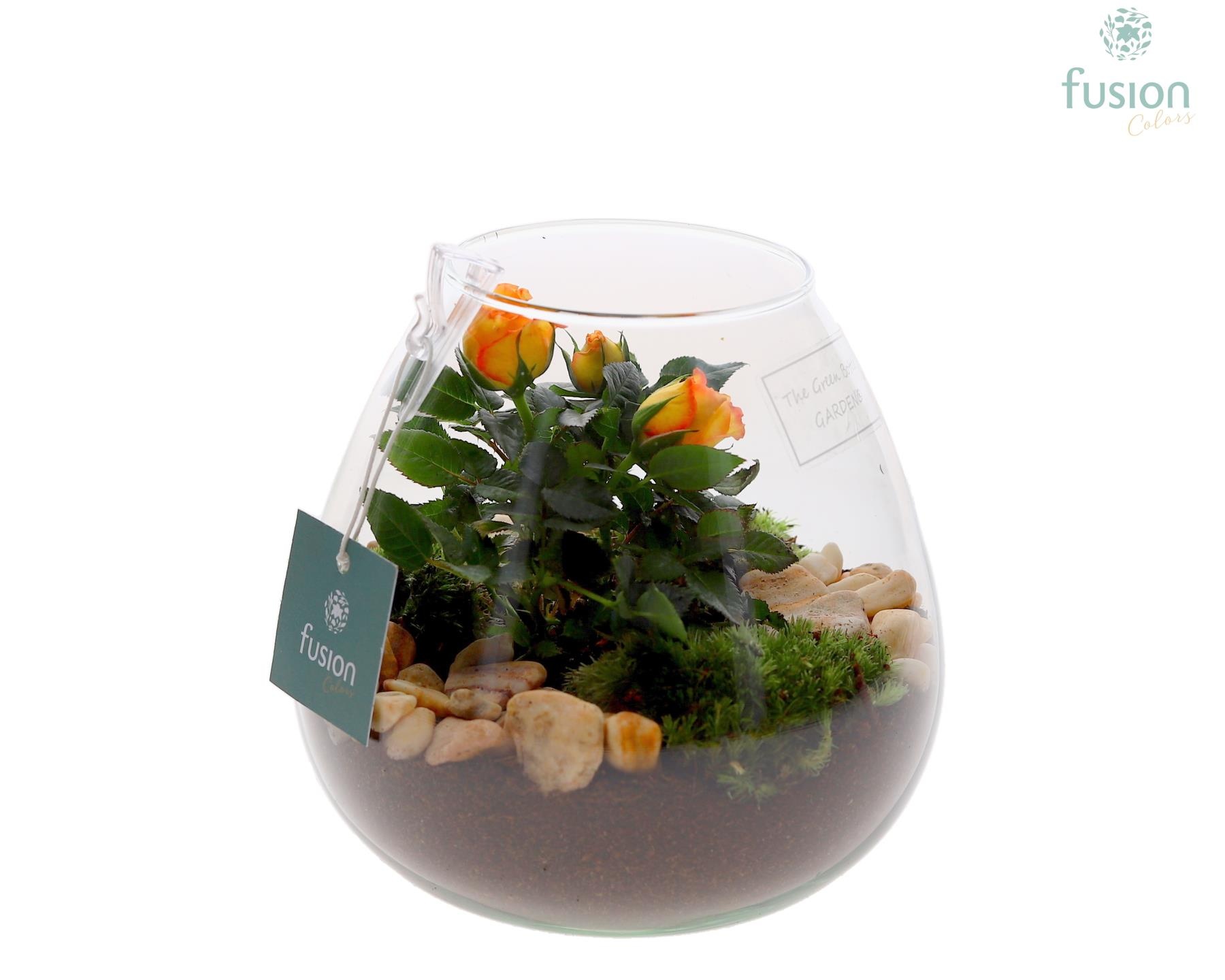 Green Bottle Abby Small met Potroos, D 15