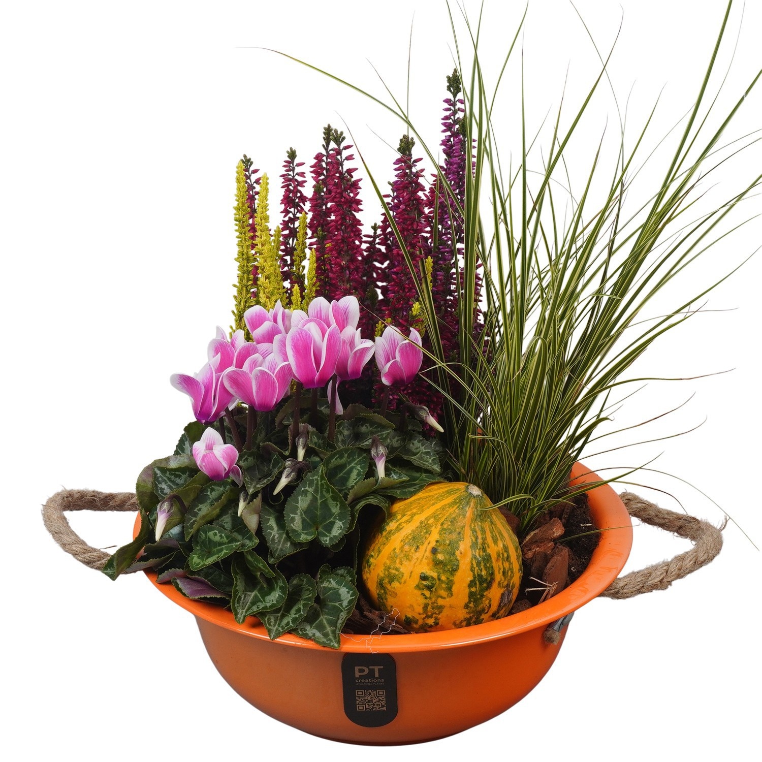 PTHO7568 Arrangement Autumn Outdoor in metalen schaal, D 24