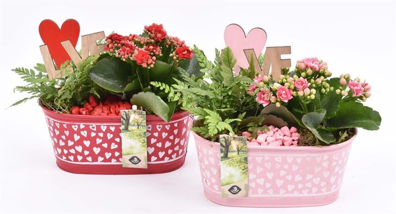 Zink ovaal hart decor 18x10cm, D 18