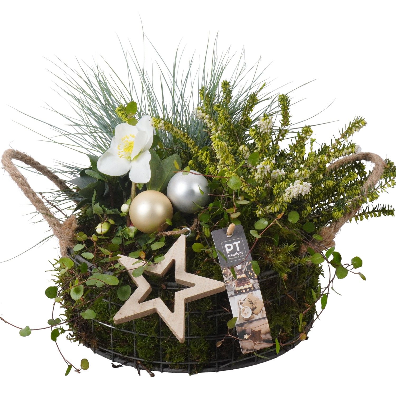 PTWO1934 Arrangement Winter Outdoor in metalen mand, D 25 cm PTWO1934 Arrangement Winter Outdoor in metalen mand, D 25 cm