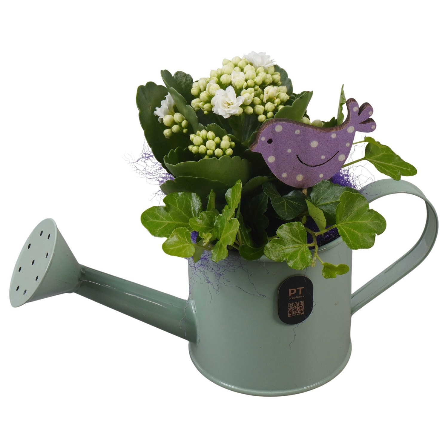 PTIB5325 Arrangement Indoor in metalen gieter, D 9