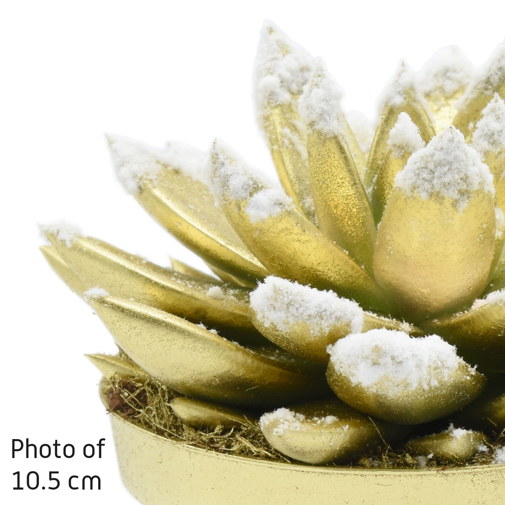 Miranda coloured gold + snow, D 12