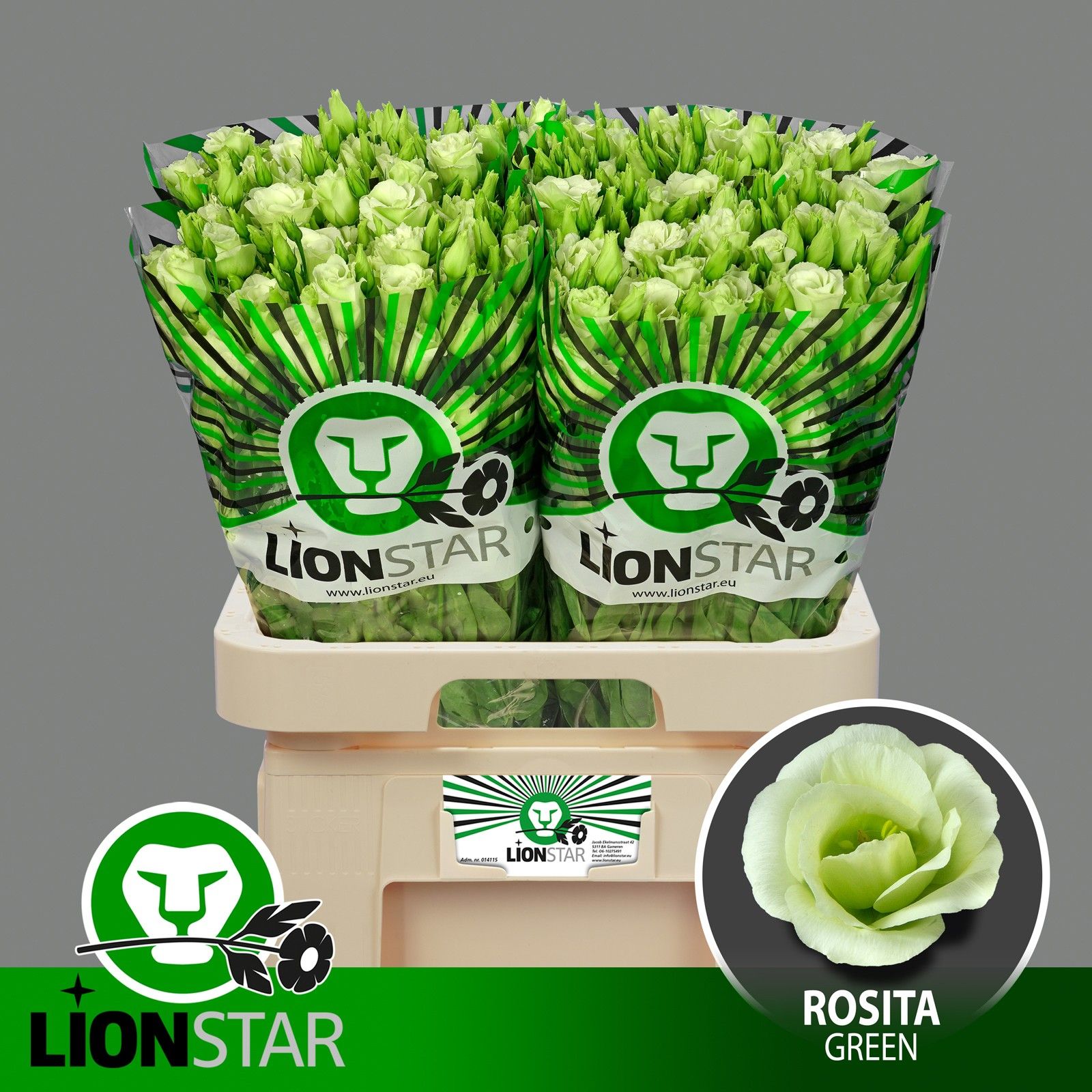 Эустома Розита Грин 70 (зел.), шт.