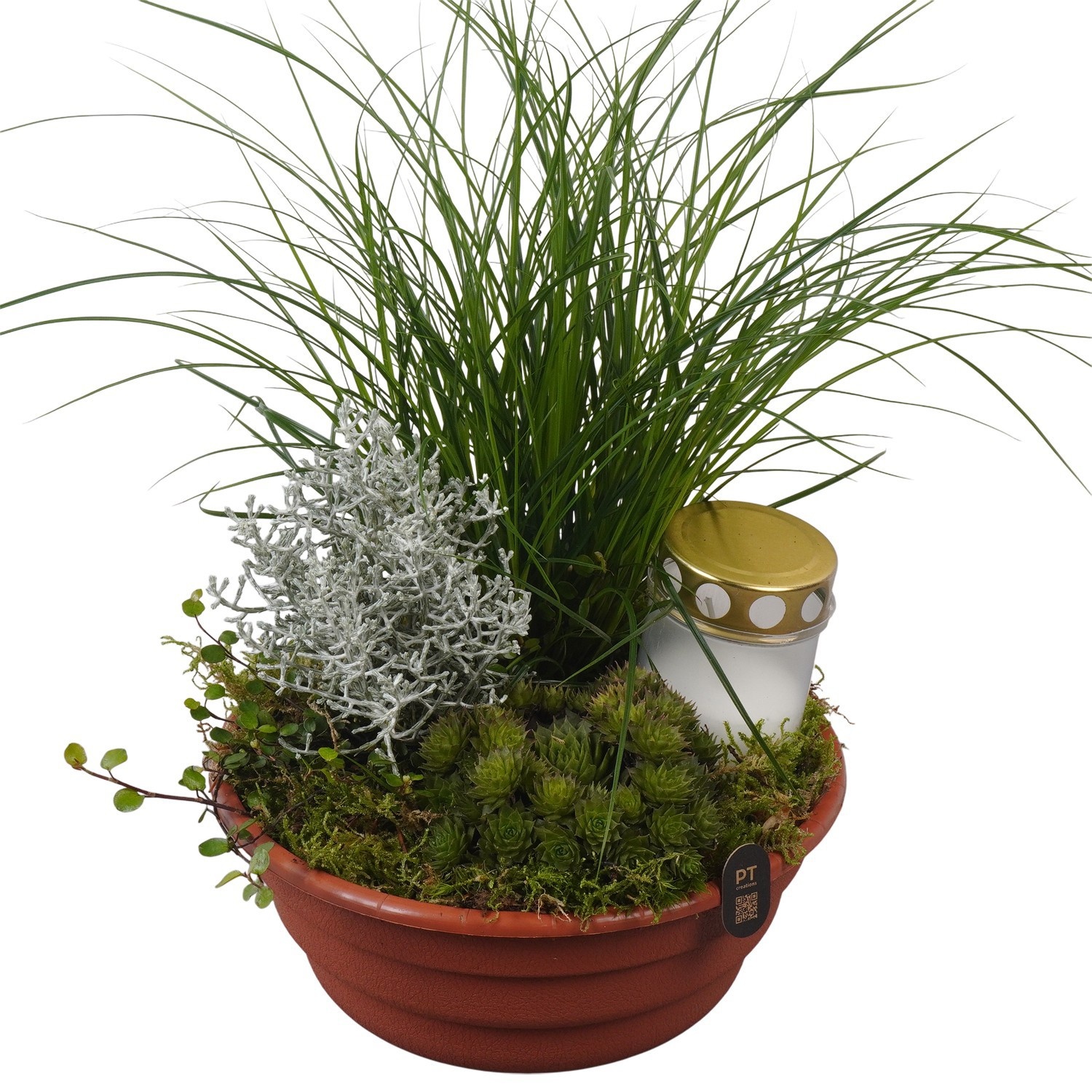 PTAH3072 Arrangement Allerheiligen in plastic schaal, D 21