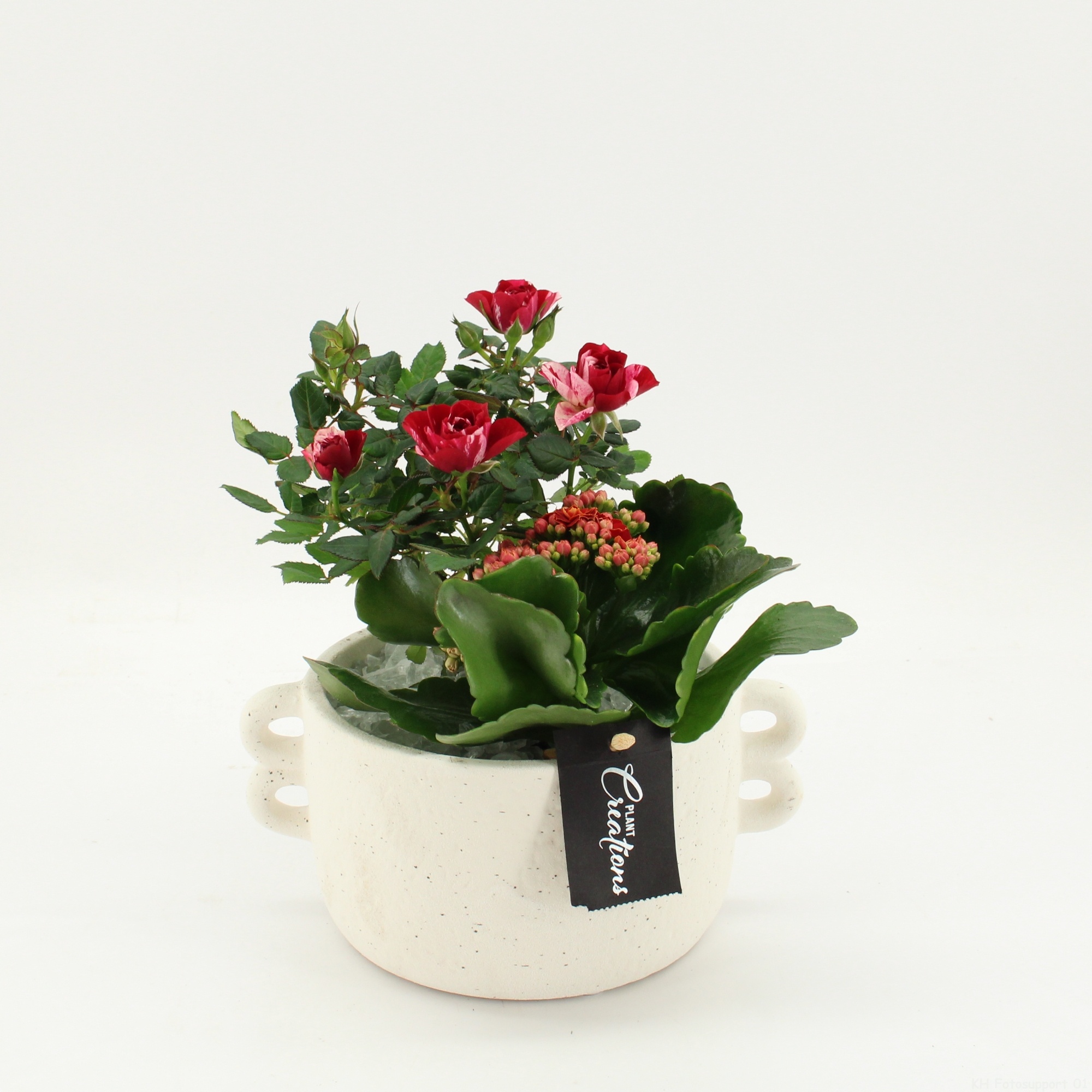 PROMO-2609 Frozen Valentine, D 20