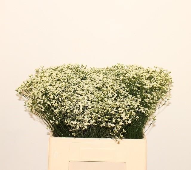 Лимониум Сенси Пина Колада 60, шт.