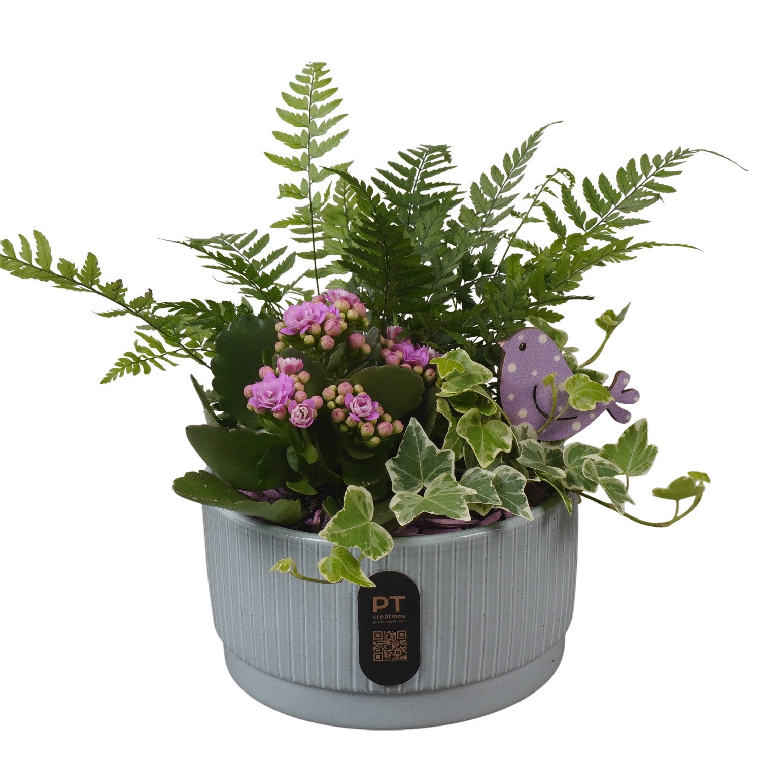 PTIB5114 Arrangement Indoor in keramiek schaal, D 16