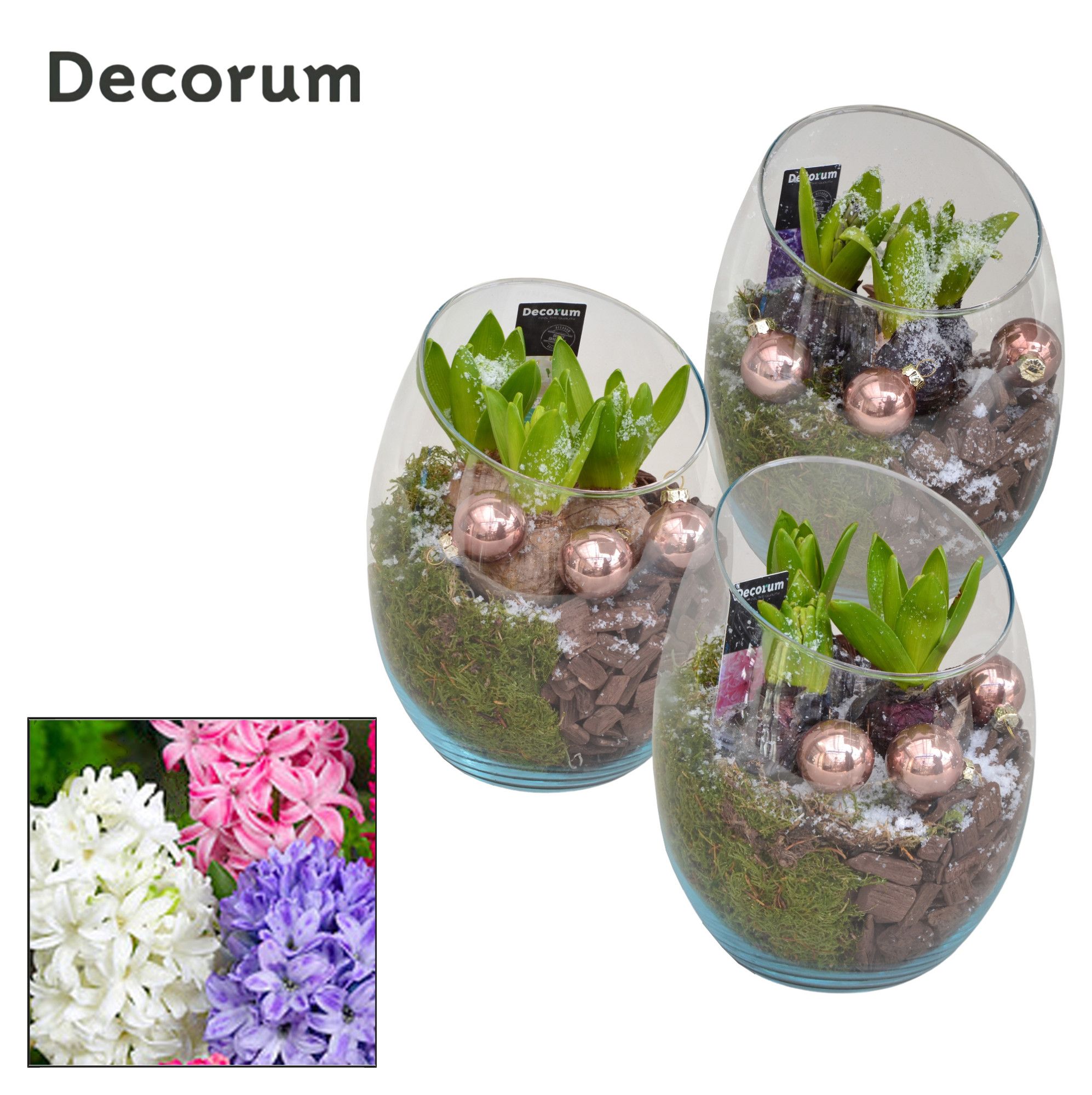 Hyacint Oblique HL11172 [PURE], D 15