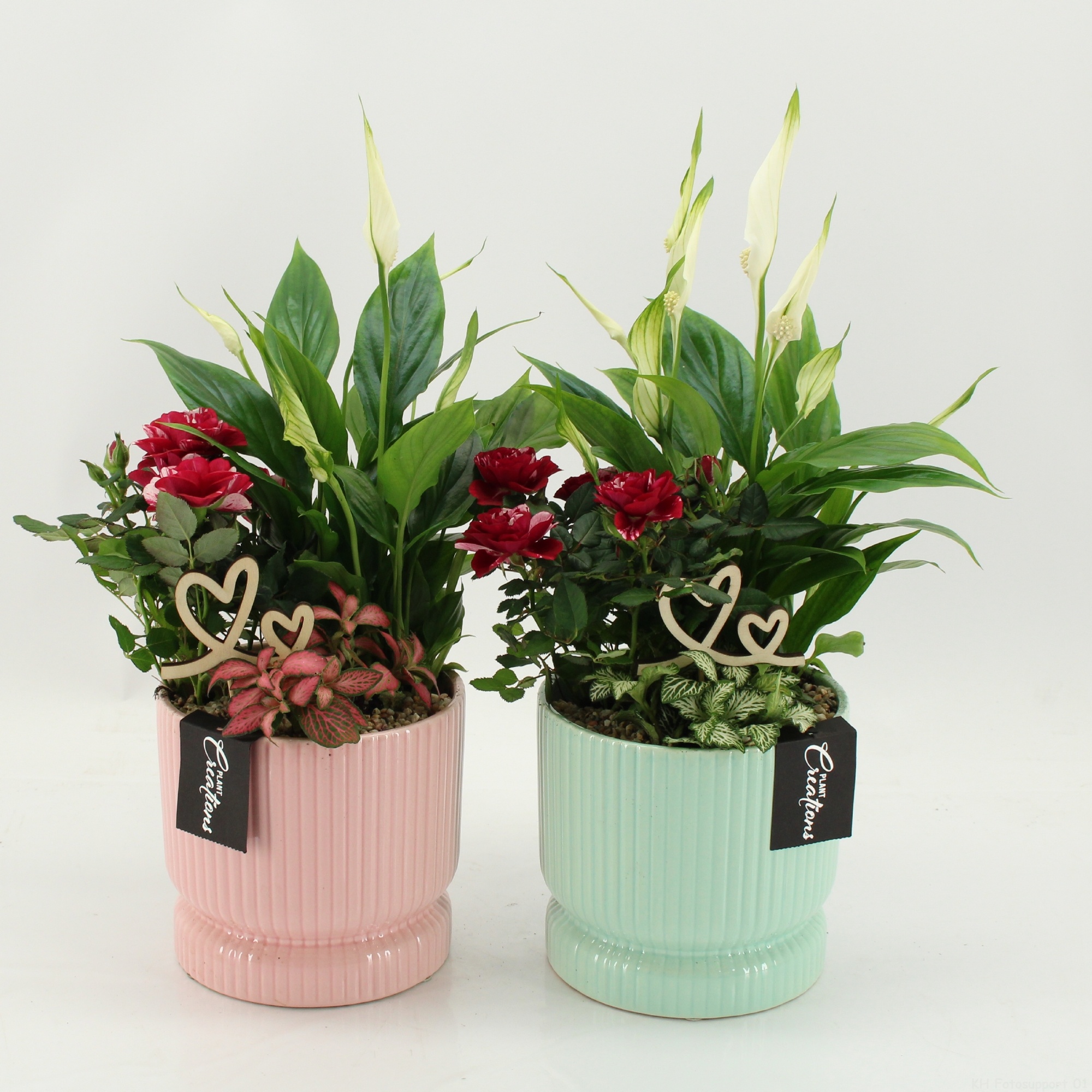 RMCR-2602MA Romantic Essentials, D 14