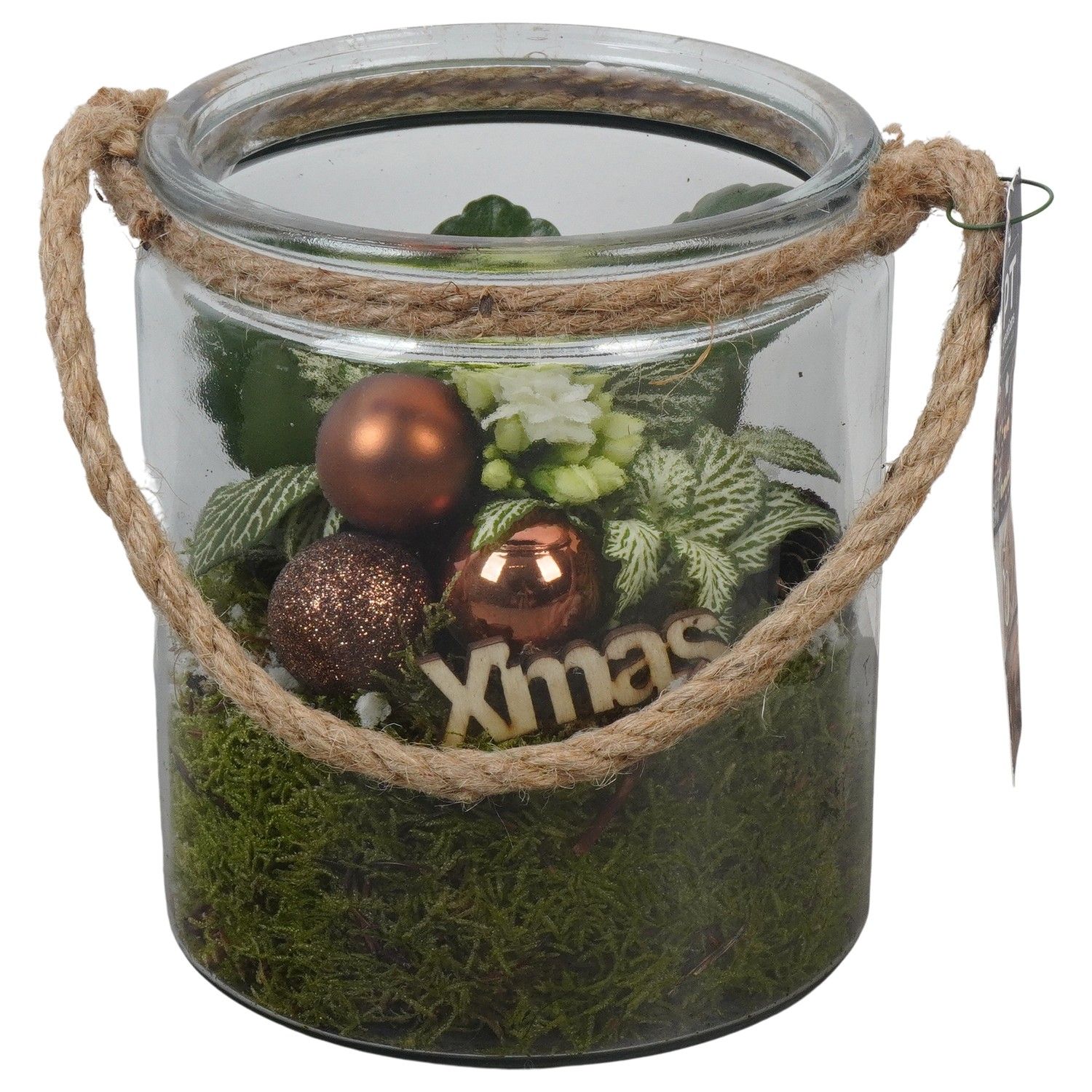 PTCHB9859 Arrangement Christmas Bronze in glazen pot, D 14 cm